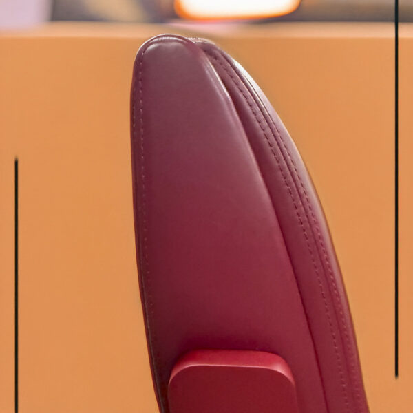 Alma™ 200 - Image 3